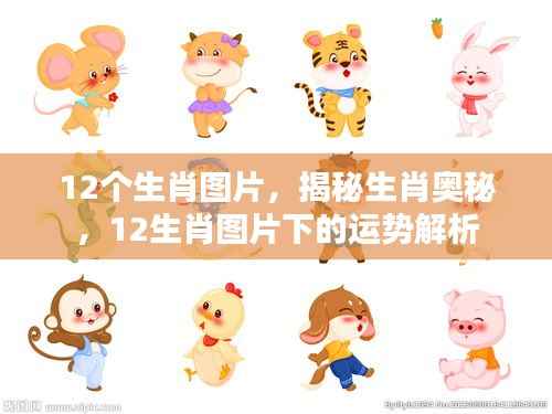 揭秘生肖奥秘，生肖图片与运势解析全解析