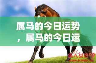 属马人今日运势详解