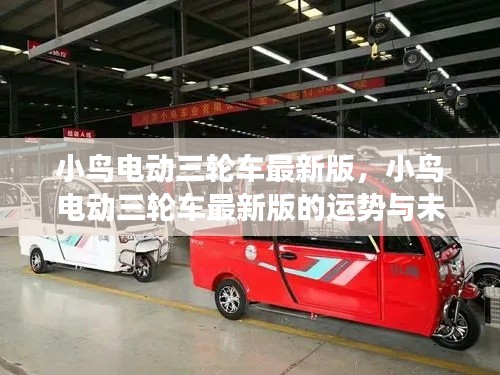 小鸟电动三轮车最新版，展望运势与未来发展趋势