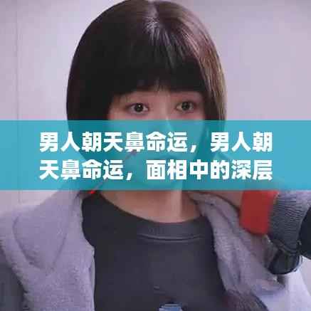 男人朝天鼻的面相解读，命运与人生轨迹的微妙关联探索