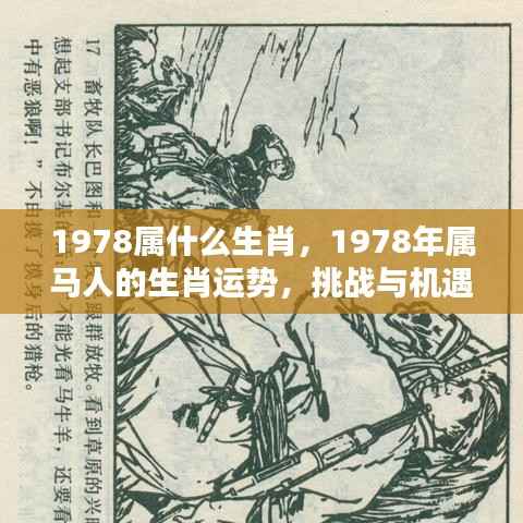 1978年属马人的生肖运势,挑战与机遇并存的一年,运势解析及挑战机遇概述