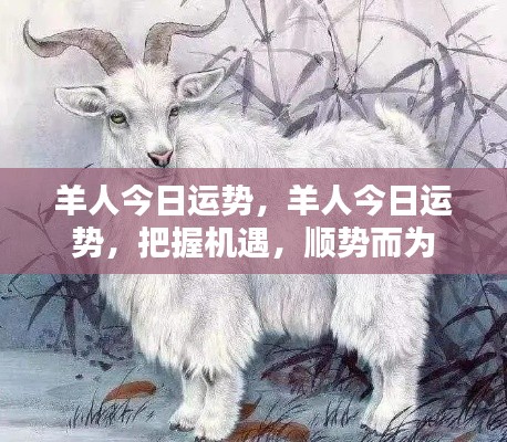 羊人今日运势揭秘，把握机遇，顺势而为的策略