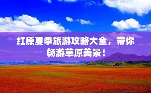 红原夏季旅游攻略大全，带你畅游草原美景！