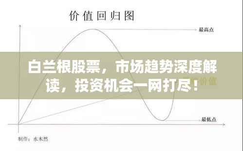 白兰根股票，市场趋势深度解读，投资机会一网打尽！