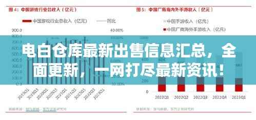 电白仓库最新出售信息汇总，全面更新，一网打尽最新资讯！