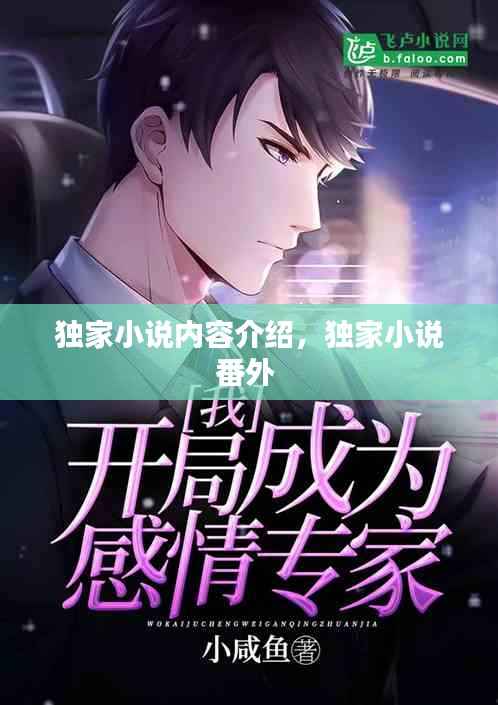 独家小说内容介绍，独家小说番外 