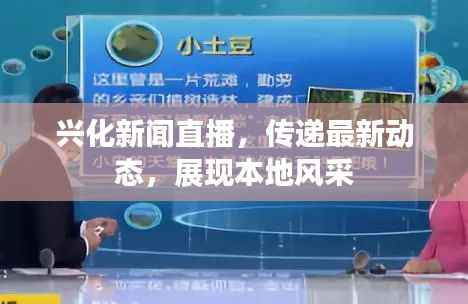 兴化新闻直播,传递最新动态,展现本地风采